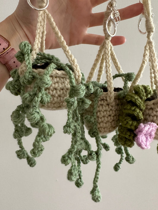 Mini Hanging Plant keychain